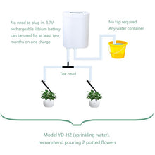 Load image into Gallery viewer, 2/4/8 Head Automatic Watering Pump Controller Flowers Plants Home Sprinkler Drip Irrigation Device Pump Timer System Garden Tool
