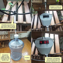 Load image into Gallery viewer, 2/4/8 Head Automatic Watering Pump Controller Flowers Plants Home Sprinkler Drip Irrigation Device Pump Timer System Garden Tool
